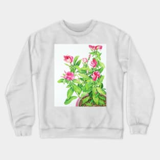 Periwinkle Crewneck Sweatshirt